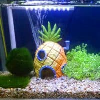 Домик для рыбок в аквариуме – дом ананас Губки Боба