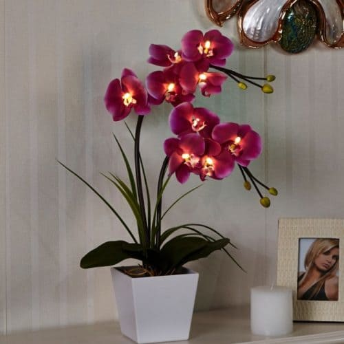 Интерьерный декоративный светодиодный светильник-ночник Орхидея в горшке