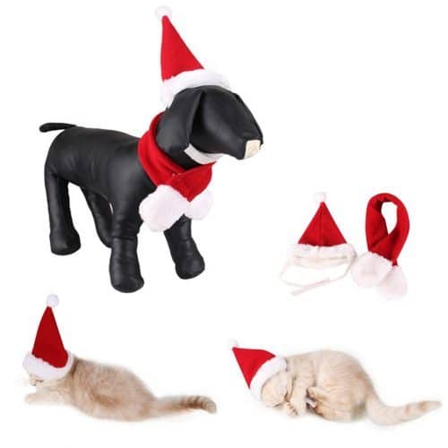 Новогодняя шапочка для кота и собаки