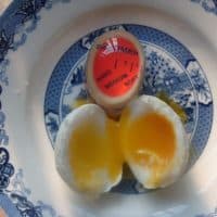 Таймер-индикатор готовности для варки яиц Egg Timer