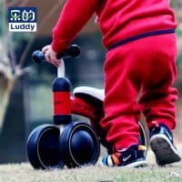 Детский трехколесный беговел для малышей от 1 года Luddy Mini Bike