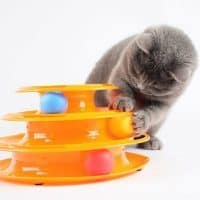 Топ 15 самых популярных игрушек для кошек на Алиэкспресс в России 2017 - место 1 - фото 1