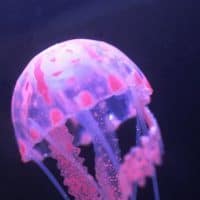 Силиконовая светящаяся искусственная медуза для декора аквариума