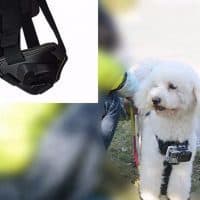 Крепление-ремень для собаки с держателем для камеры GoPro