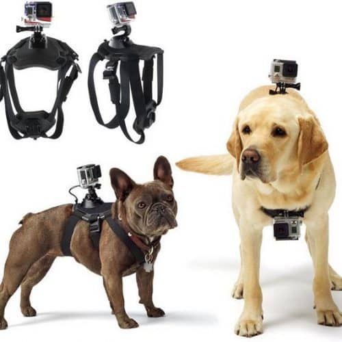 Крепление-ремень для собаки с держателем для камеры GoPro