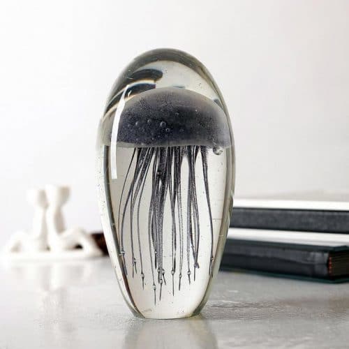 Медуза в стекле