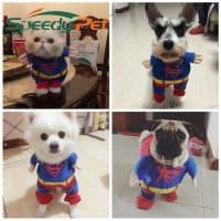 Костюм Супергероя (Супермена) для кота или собаки