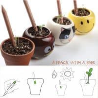 Эко-карандаши с семенами растений для проращивания (в наборе 8 шт.)