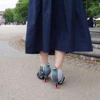 Японские женские туфли в виде голубей