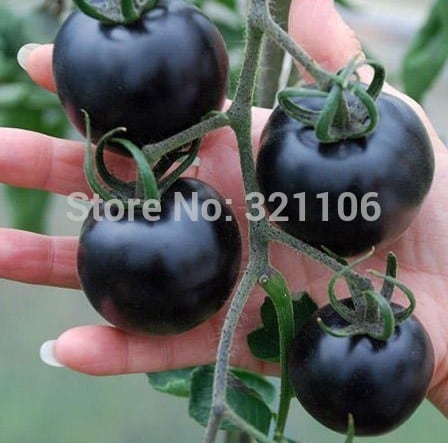 Семена черного помидора Indigo Rose (в пакете 100 шт.)