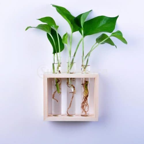 Стеклянная декоративная ваза-флорариум для цветов и растений в виде трех узких колб на деревянном стенде