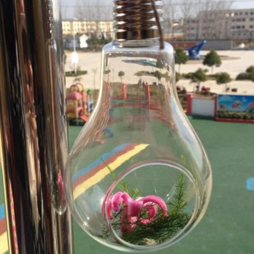 Стеклянная прозрачная ваза для цветов в виде ангела, лампочки, шара