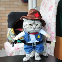 Топ 8 самых популярных костюмов для кота на Алиэкспресс в России 2017 - место 2 - фото 3