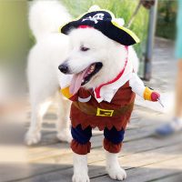 Костюм пирата для кота или собаки
