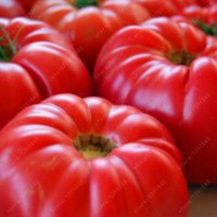 Семена гигантских красных и черных помидоров 100 шт.