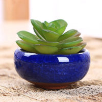Керамический низкий горшок-кашпо для маленьких домашних цветов и растений