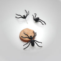 Черные серьги-гвоздики в виде пауков