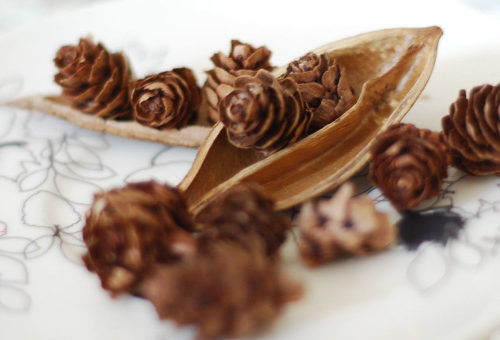 Набор маленьких сухих натуральных сосновых шишек 100 шт. для DIY поделок, новогодних венков