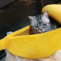 Лежанка домик в виде банана для питомцев (кошек и собак)