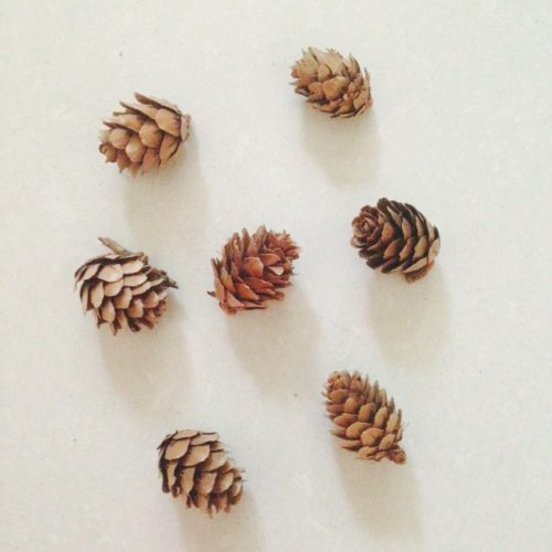 Набор маленьких сухих натуральных сосновых шишек 100 шт. для DIY поделок, новогодних венков