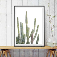 Плакат рисунок на холсте с изображением кактуса (разные размеры)