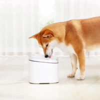 Товары для домашних животных от Xiaomi с Алиэкспресс - место 8 - фото 6