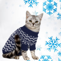 Новогодний вязаный свитер для кота и кошки (разные размеры)