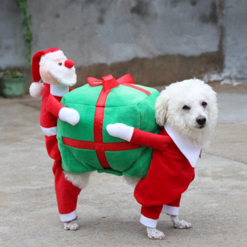 Новогодний костюм для собаки (разные размеры)
