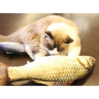 Плюшевые мягкие жевательные 3D игрушки рыбы с кошачьей мятой для котов и кошек