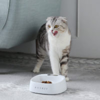 PETKIT умная миска для кошек и собак