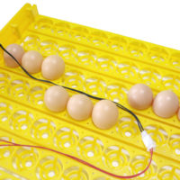 Инкубатор автоматический на 63 яйца