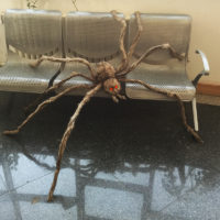 Гигантский волосатый паук со светодиодными глазами