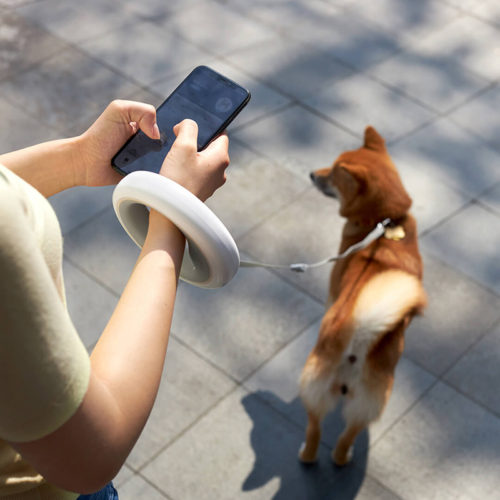 Xiaomi MOESTAR поводок рулетка для собак