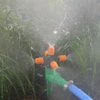 Дождеватель для полива газона или огорода