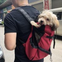 Рюкзак-переноска для собак