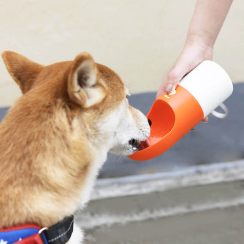 Портативная бутылка для воды для прогулок с собаками
