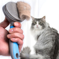 Xiomi Youpin pet comb щетка расческа для удаления шерсти для кошек